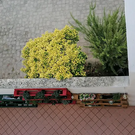 Le Voltine Σπίτι διακοπών San Damiano dʼAsti